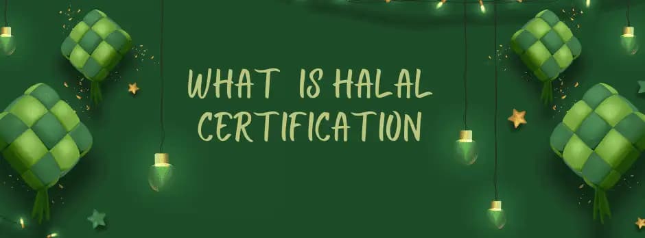 halal cs blogs images